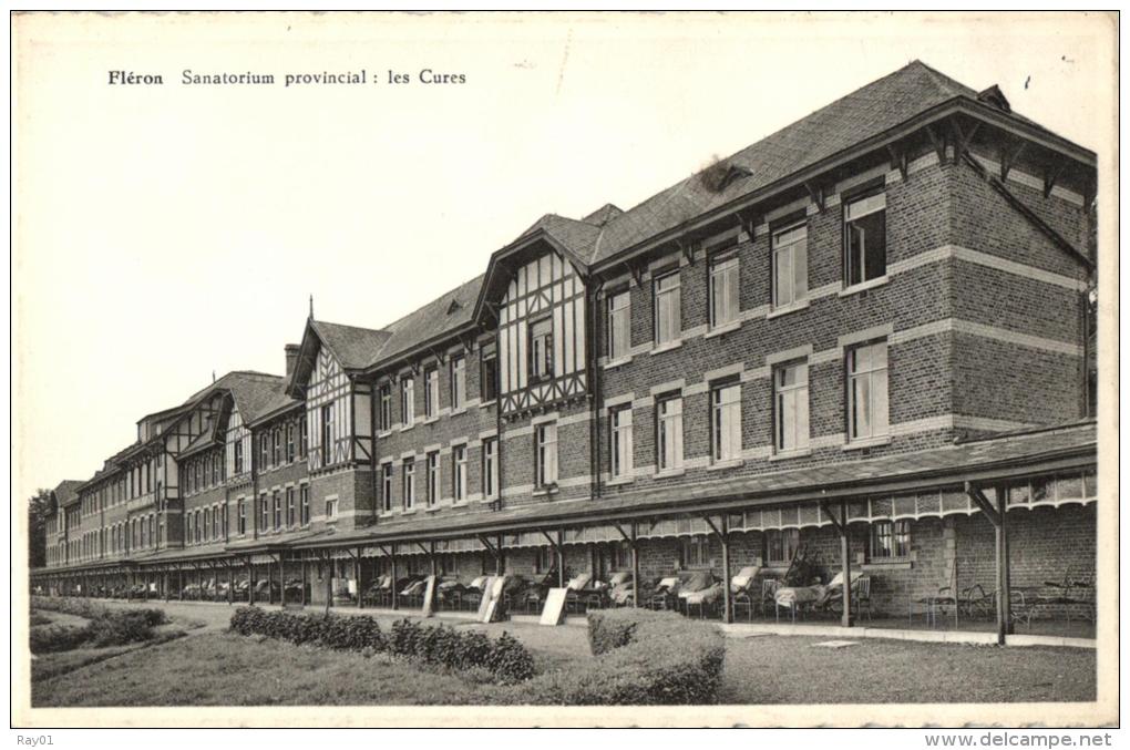 BELGIQUE - LIEGE - FLERON - Sanatorium Provincial: Les Cures. - Fléron