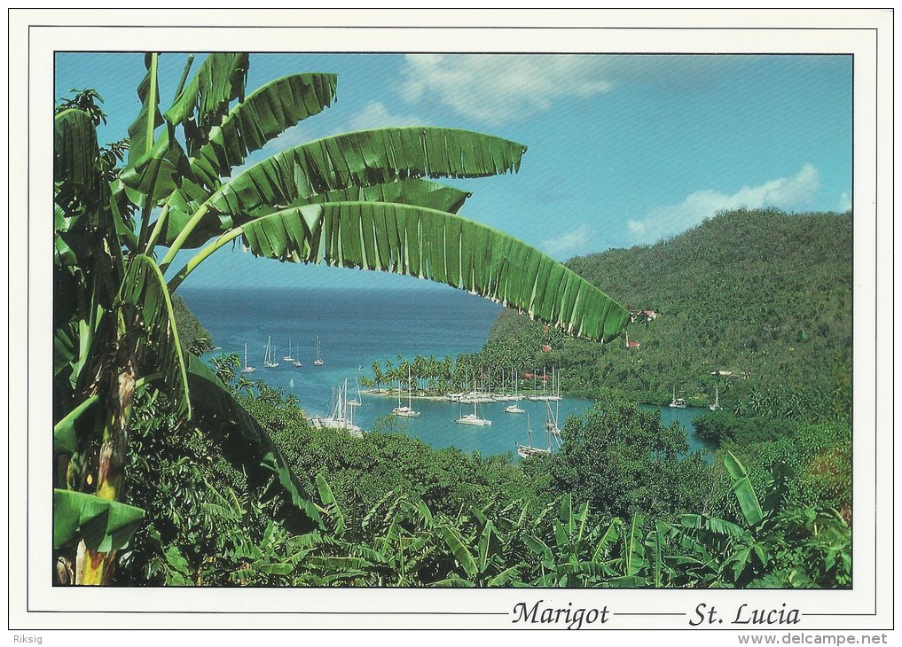 St. Lucia  Marigot  # 233 # - Sainte-Lucie