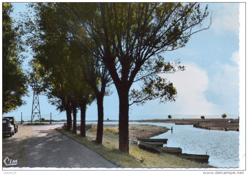 CP - PHOTO -  LACANAU MEDOC - LE CHENAL SUR L'ETANG - 295 - CIM - - Autres & Non Classés