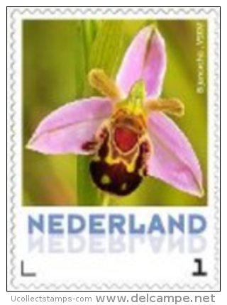 Nederland  2013 Ucollect  Orchidee 5  Bijenorchidee Postfris/mnh/neuf - Unused Stamps