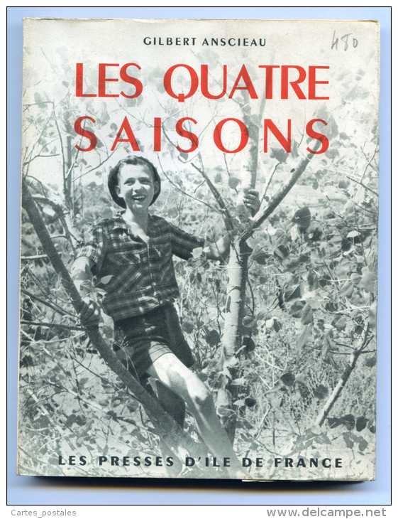 Les Quatre Saisons  /   Gilbert Anscieau - Nature