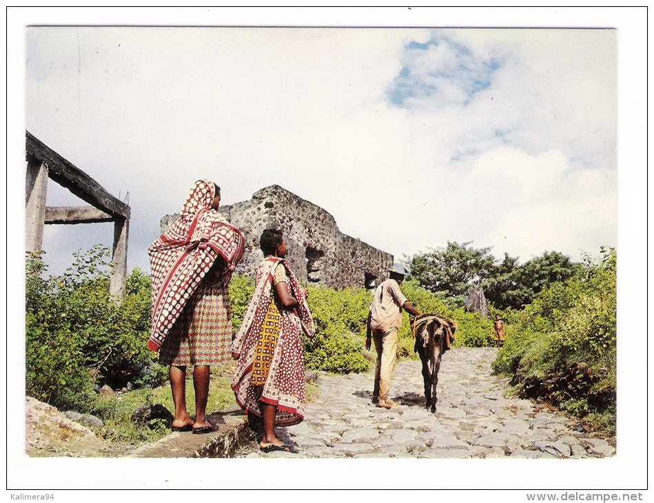 ARCHIPEL  DES  COMORES  /  DOMONI  ( ANJOUAN ) /  SCÈNE  FAMILIÈRE  ( Femmes Et âne ) /  Edit.  OPTICAM  N° 82 - Comores