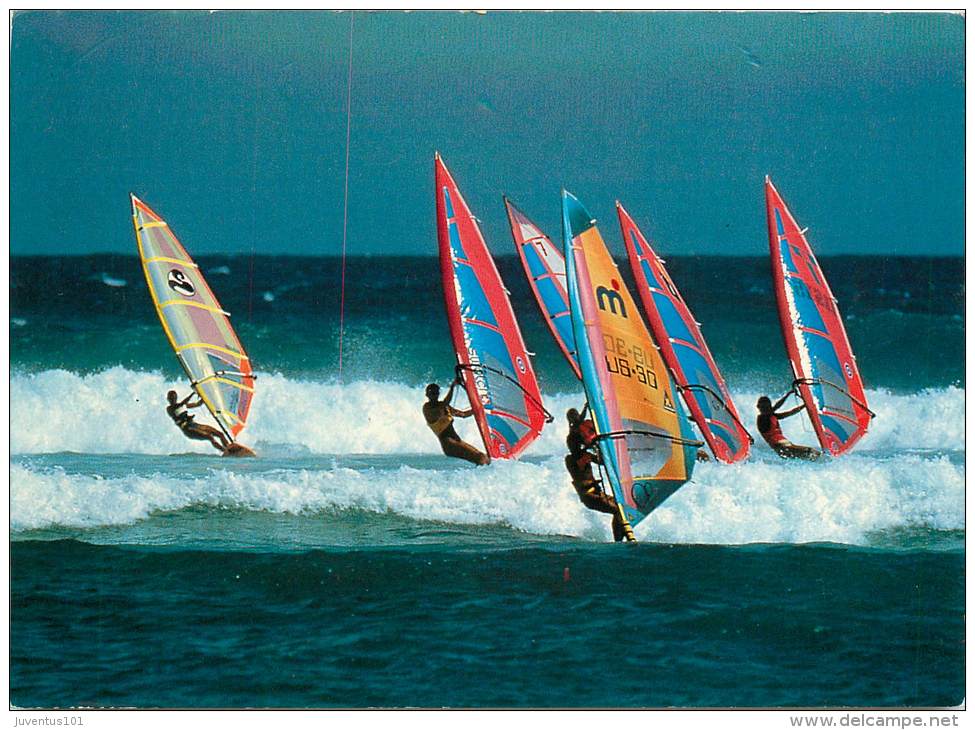 CPSM Planche à Voile  L1302 - Water-skiing