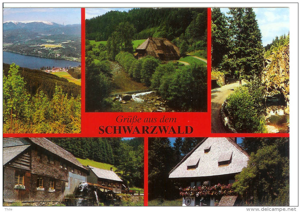 Grüb Aüs Dem SCHWARZWALD - Hochschwarzwald