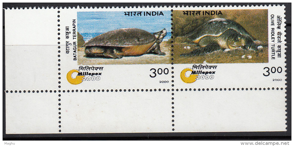 India MNH 2000, Endangered Species, Turtles, Millepex Se-tenent - Turtles