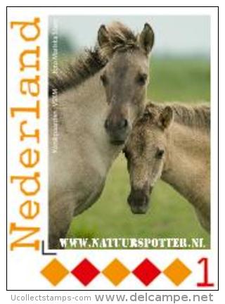 Nederland  2012   Paarden  Postfris/mnh/neuf - Ungebraucht