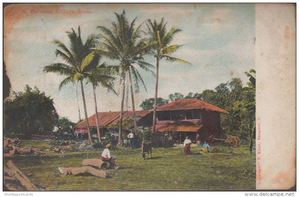 Burma Myanmar, A Village Scene, Palm Tree, Cow, Cattle, Wood, Burma Used Old Vintage Postcard As Scan - Myanmar (Birma)