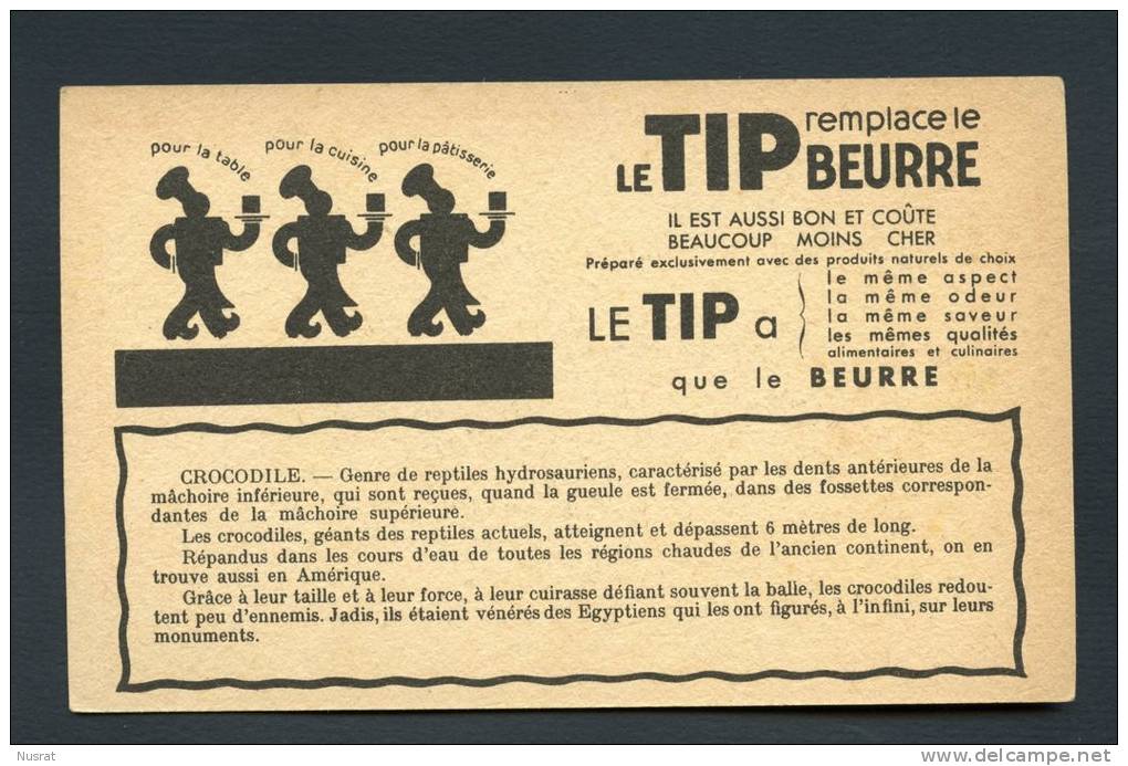 Le TIP Remplace Le Beurre, Image Publicitaire Grand Format, Thème Animaux, Le Crocodile - Autres & Non Classés