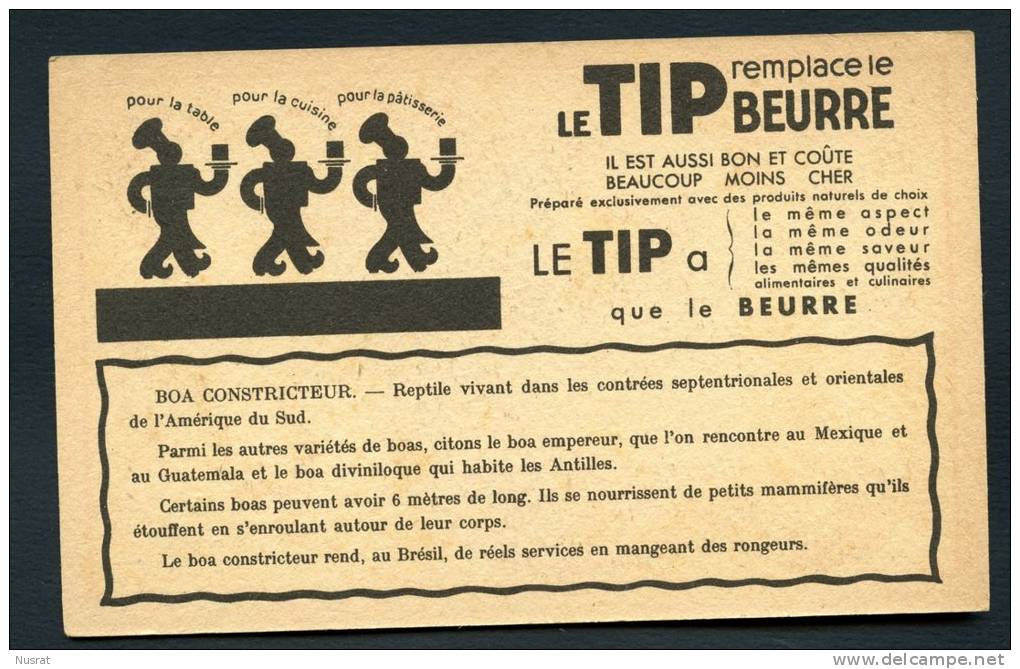 Le TIP Remplace Le Beurre, Image Publicitaire Grand Format, Thème Animaux, Le Boa Constrictor - Autres & Non Classés
