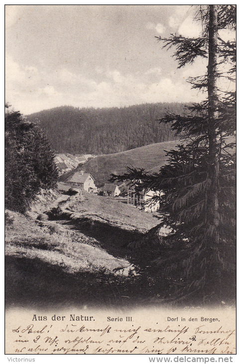 BUBIKON, Aus Der Natur, 1903 - Bubikon