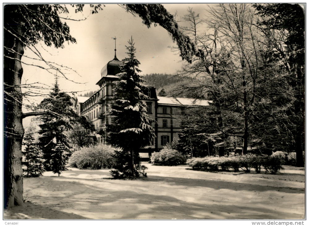 AK Friedrichroda, Partie Im Park, Gel, 1963 - Friedrichroda