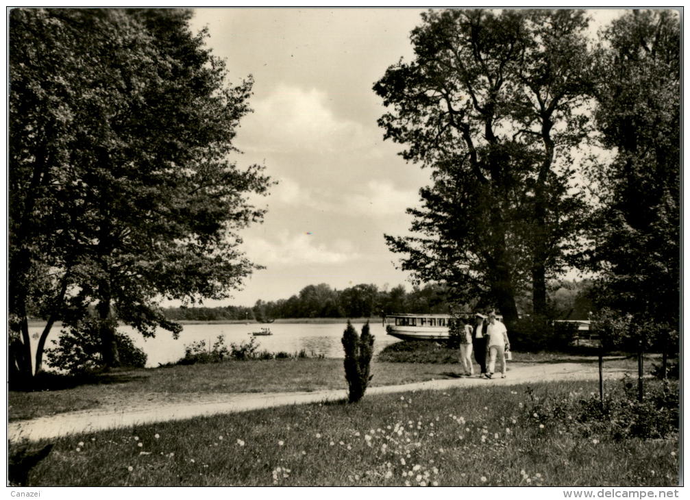 AK Fürstenberg, Blick Vom Kulturpark Zum Schwedtsee, Gel, 1966 - Fuerstenberg