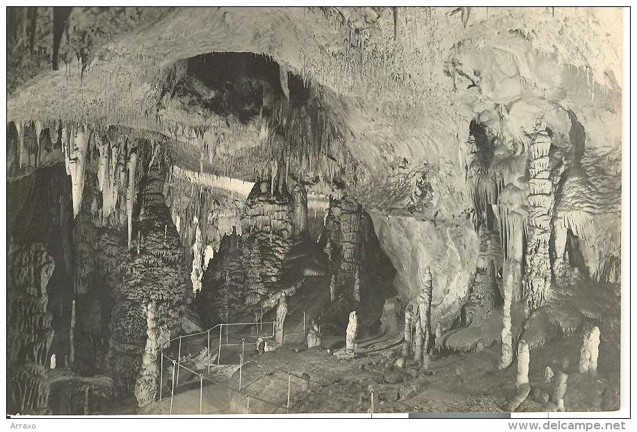 SLO012 - Postojnska Jama - Grotta - Cave - Grotte - Höhle - Slowenien