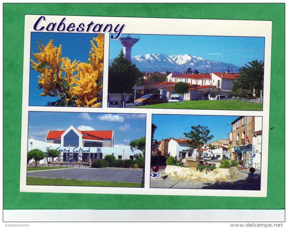 Cabestany Vue Générale Avec Le Canigou La Place De La Fontaine Le Centre Socio-culturel - Cabestany