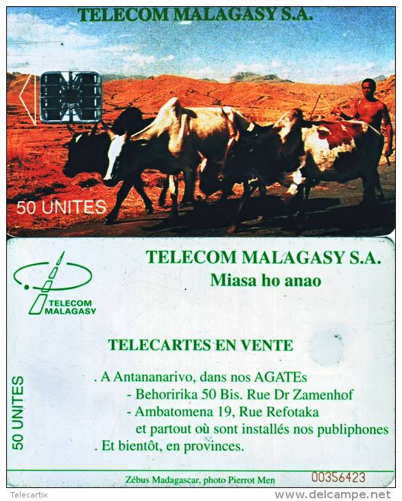 ***Télécarte De MADAGASCAR  Miasa Ho Anao  50Units Vide  TTB  A Saisir *** - Madagascar