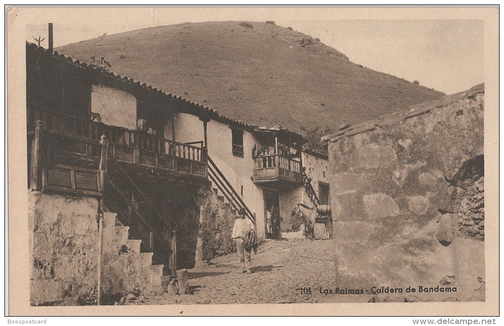 Las Palmas - Caldera De Bandama. España. - La Palma