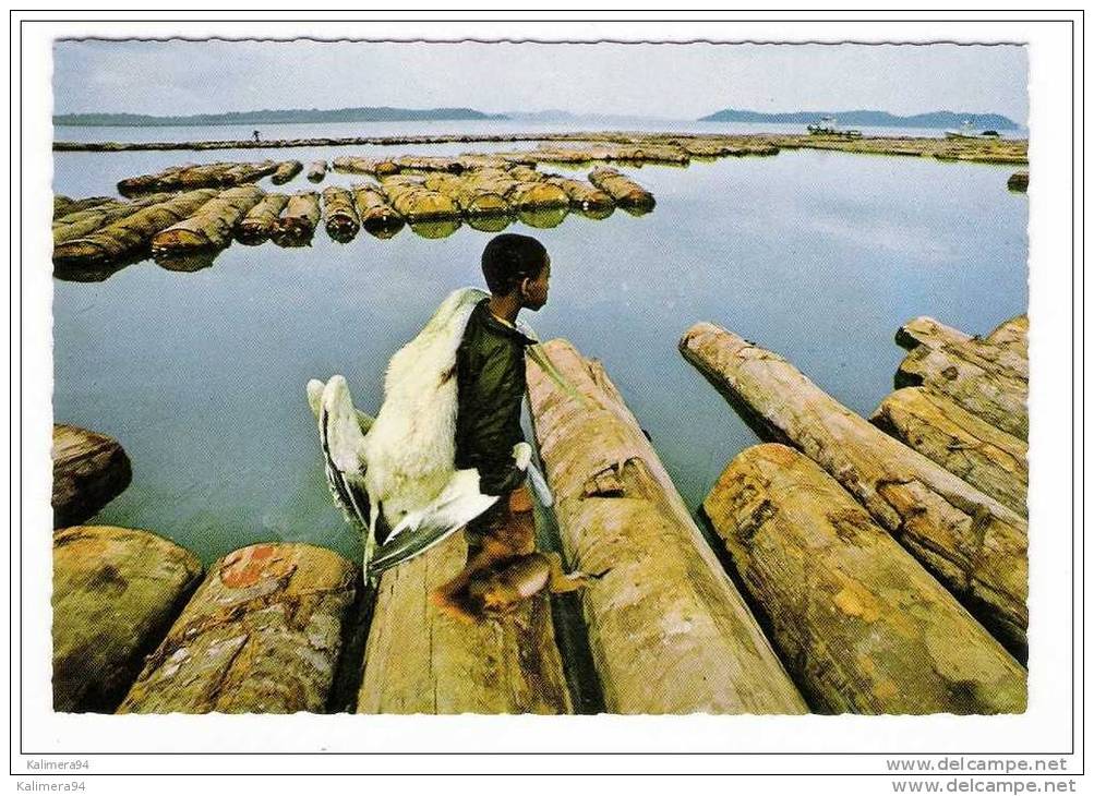 IMAGES  DU  GABON  /  RETOUR  DE  CHASSE  ( Enfant Avec Singe Et Pelican, Flottage Du Bois ) /  Edit.  Photo  J. TROLEZ - Gabon