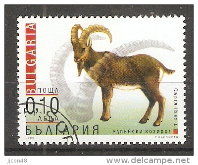 Bulgaria 2000  Adaptable Animals  (o)  Mi.4484 - Used Stamps