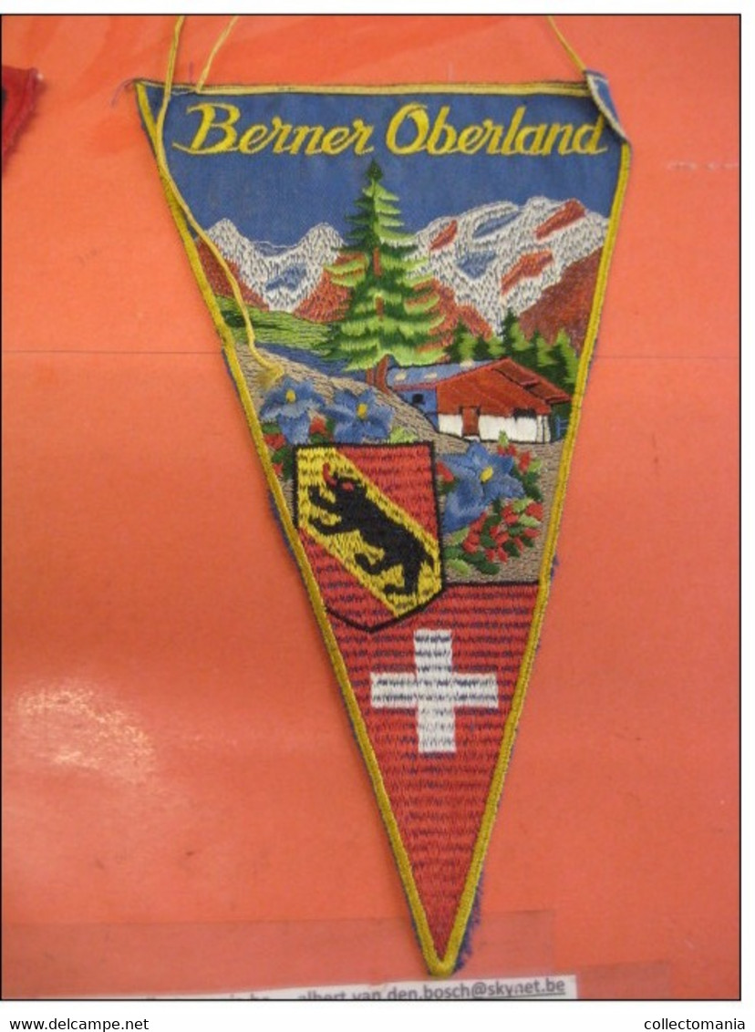 12  VELO fietsvlaggen circa 1920 à 1930 textiel Vaantje Fanion Wimpel Vlag Flagge Suisse Schweiz Zwitserland Switserland