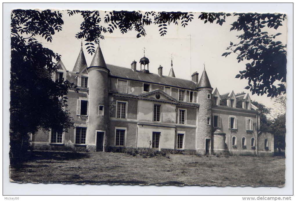 BOISSY LA RIVIERE--Domaine De Bierville--CFDT--Le Chateau ,cpsm 9 X 14  éd Rameau - Boissy-la-Rivière