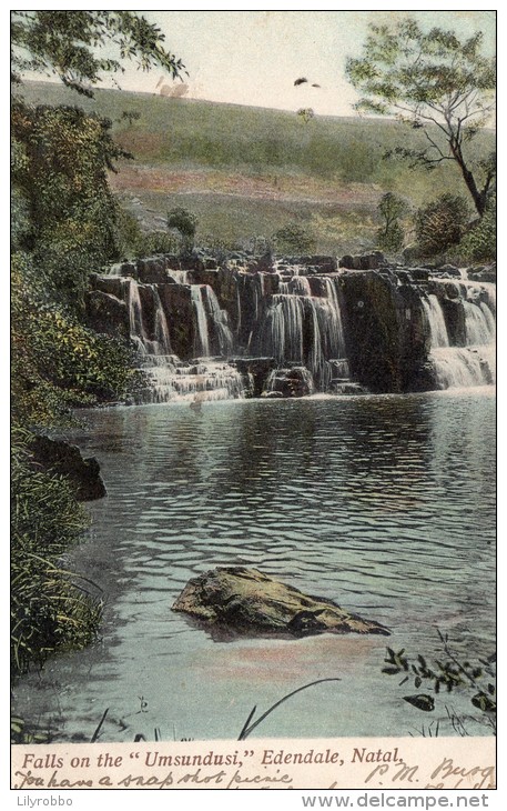 SOUTH AFRICA  Falls On The Umsundusi Edendale Natal - 1905 - Zuid-Afrika