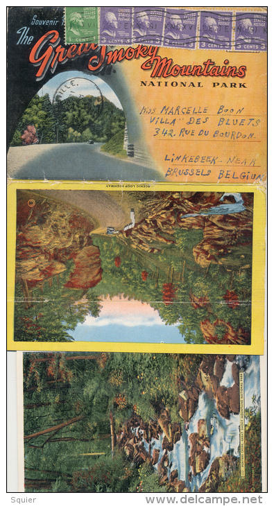 Souvenir Postcard Great Smoky Mountains National Park - Smokey Mountains