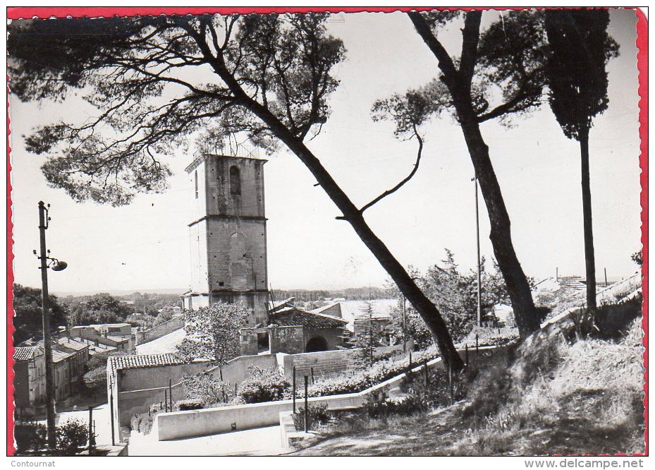 PHOTO Format CPM 13  CHATEAURENARD Le Clocher De L' église Vue Du Jardin Public - Autres & Non Classés