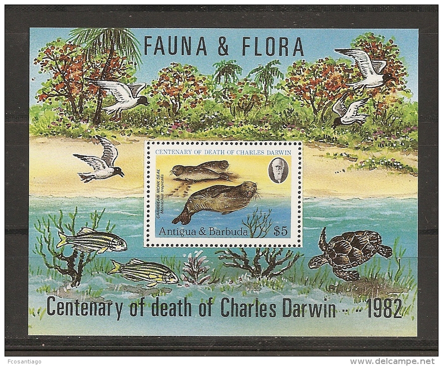 FOCAS - ANTIGUA 1982 - Yvert #H63 - MNH ** - Otros & Sin Clasificación