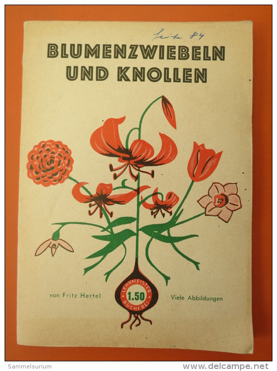 Fritz Hertel "Blumenzwiebeln Und Knollen" (Lehrmeister-Bücherei, Leipzig) - Nature