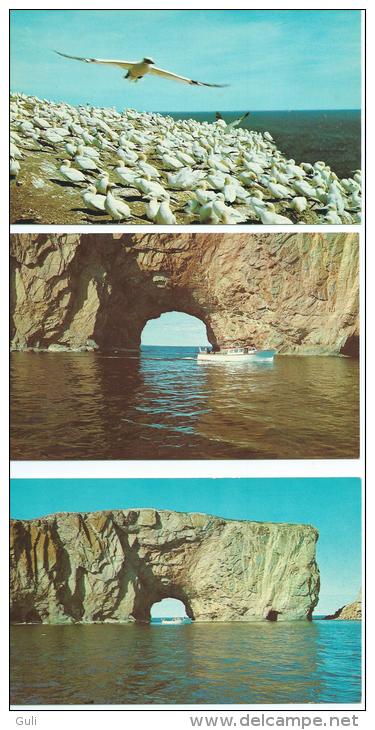 Amérique > Canada-Quebec- Percé -LA GASPESIE -Lot,ensemble De 3 Cpm-voir Scans R/V De Toutes Les Cartes - Percé