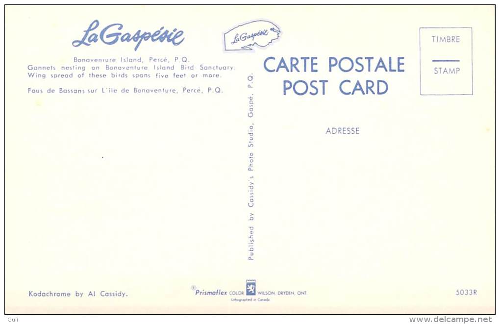 Amérique > Canada-Quebec- Percé -LA GASPESIE -Lot,ensemble De 3 Cpm-voir Scans R/V De Toutes Les Cartes - Percé