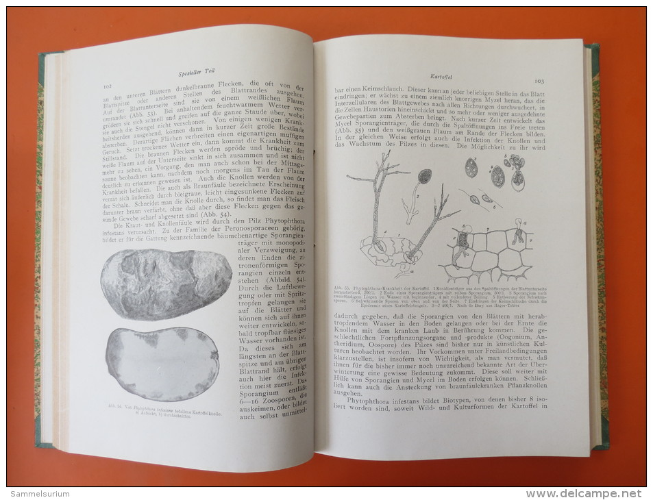 Dr.Braun/Dr.Riehm "Deutscher Landbau" Lehrbuchreihe des Forschungsdienstes" von 1945