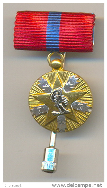 Yugoslavia - Miniature Of The Order Of The National Merit With Gold Star, 1st Class, With A Stick - Autres & Non Classés