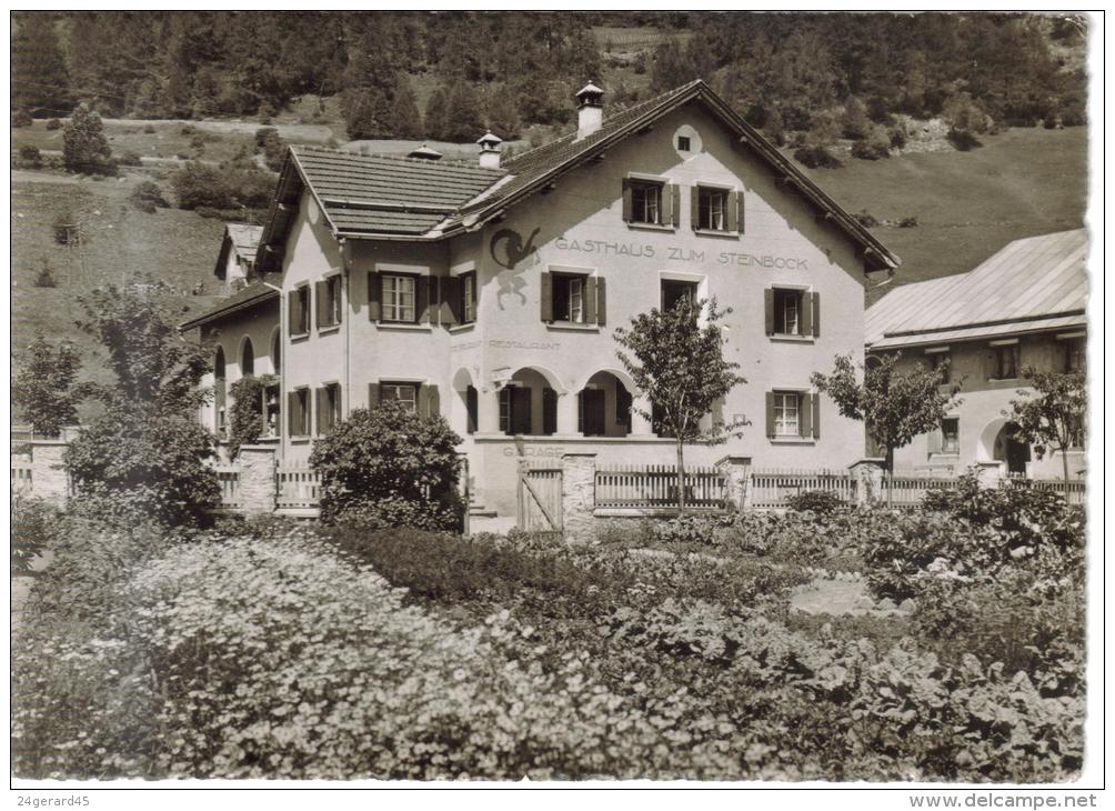 CPSM SUSCH (Suisse-Grisons) - Gasthaus Steinbock - Susch