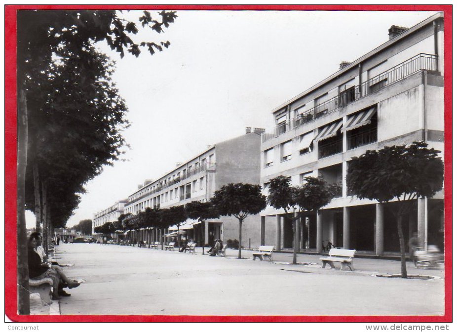 PHOTO Format CPM 13 TARASCON Rue De La République - Autres & Non Classés