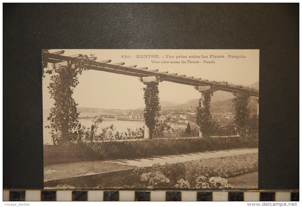 CP, 06, Menton Vue Prise Entre Les Fleurs Pergola N°930 Edition Giletta - Menton