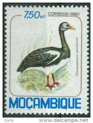 Mozambique 1980, Yv. 770, Oie-armée De Gambie Oiseau / Bird Spur-winged Goose  MNH ** - Ganzen