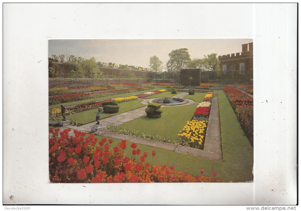 ZS35975 Hampton Court Palace Middlessex The Pond Garden   2 Scans - Middlesex