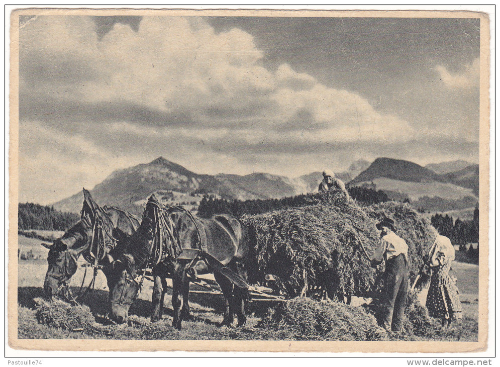 Heuernte  In  Den  Bergen - Bergen