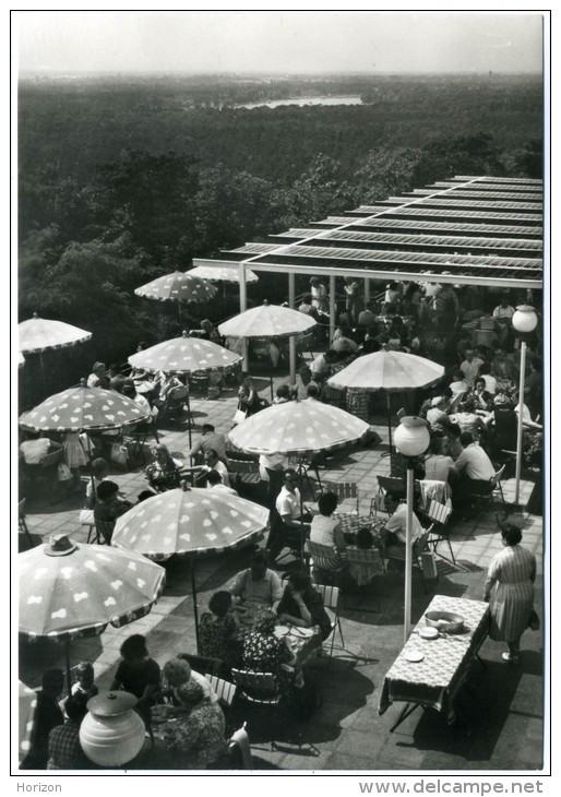 XD.41.  BERLIN  - Restaurant Am Muggelturm - Altri & Non Classificati