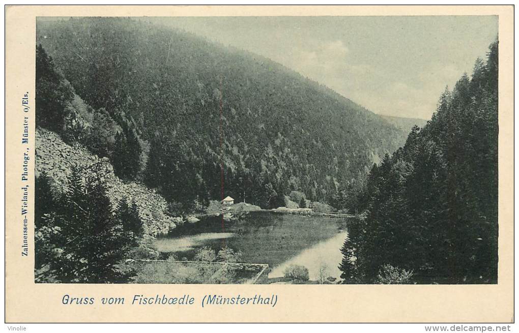 Réf : BO-13-419 : Gruss Vom Fischboedle  (münsterthal) - Muenstertal