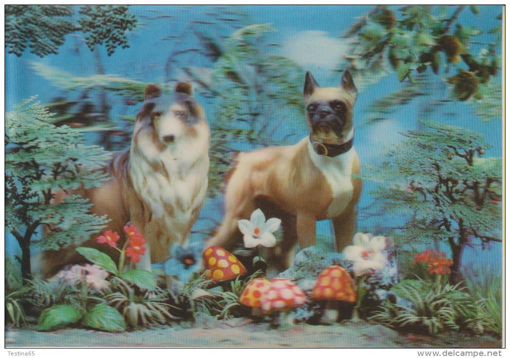 CARTOLINA STEREOSCOPICA--ANIMALI--CANI--BOXER--COLLIE--LASSIE--FUNGHI--FP--V 8-8-67 - Stereoskopie