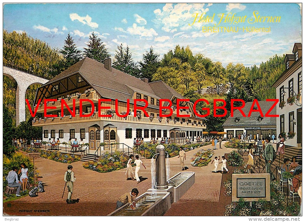 TITISEE NEUSTADT       HOTEL HOFGUT STERNEN - Titisee-Neustadt