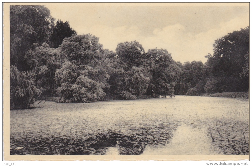 Hoeilaart " Vijver Van Groenendael - Etang De ." - Hoeilaart