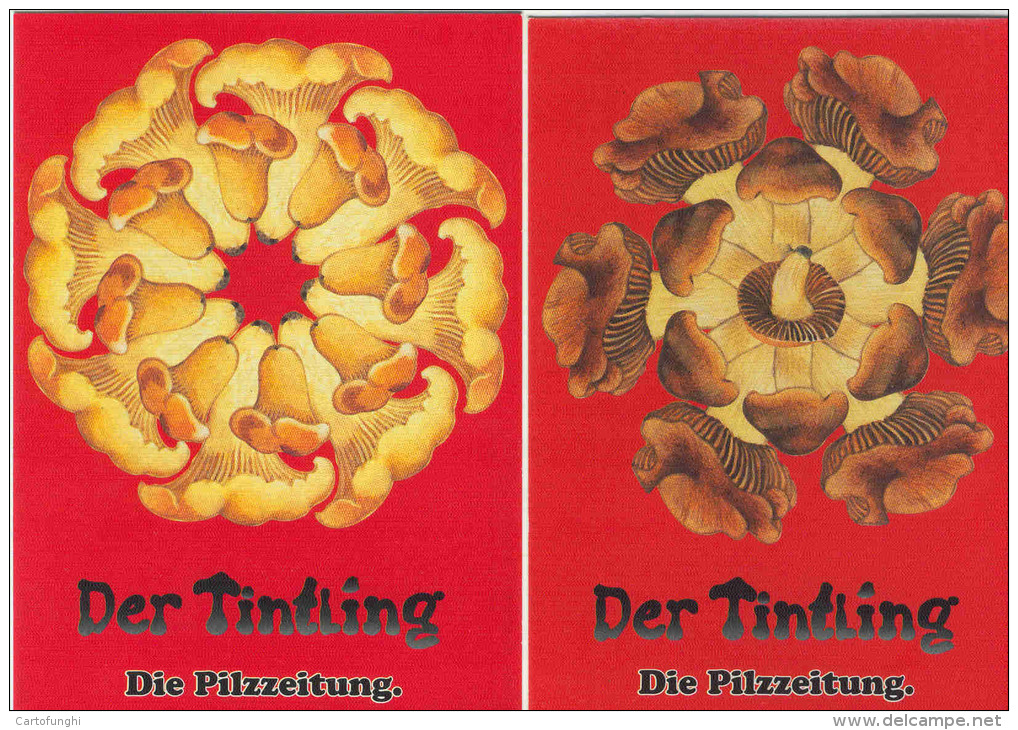 DER TINTLING  DIE PILZEITUNG  FUNGHI CHAMPIGNONS MUSHROOM SETAS   DUE CARTOLINE DER TINTLING DIE PILZEITUNG - Altri & Non Classificati