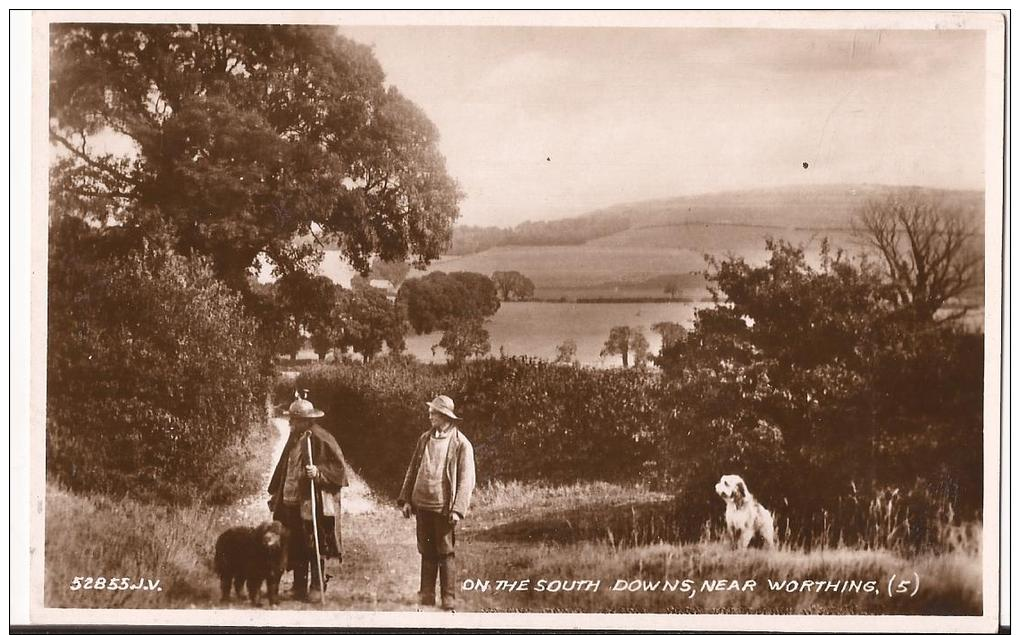 CPSM Noir Et Blanc ::on The South Downs  Near WORTHING - Belle Carte Petit Format Non Circulé-scène De Chasse - Worthing