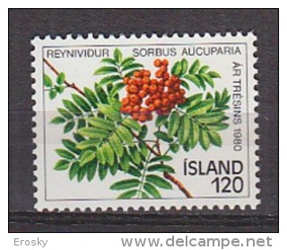 Q1281 - ISLANDE ICELAND Yv N°507 ** FLORE - Neufs