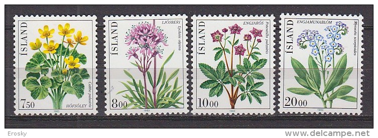 Q1295 - ISLANDE ICELAND Yv N°545/48 ** FLEURS - Neufs