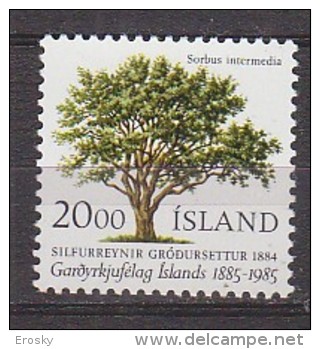 Q1309 - ISLANDE ICELAND Yv N°588 ** FLORE - Unused Stamps