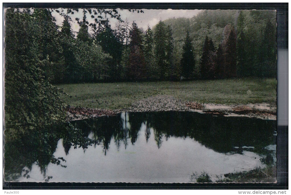 Eschwege - Am Frau Holle Teich Auf Dem Meißner - Eschwege